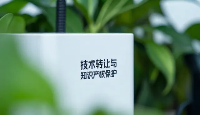 软件开发中技术转让与知识产权保护的适用情况与限制